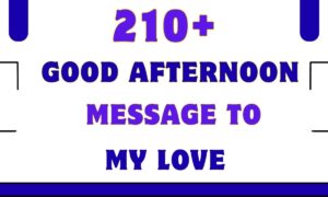 Good Afternoon Message to My Love